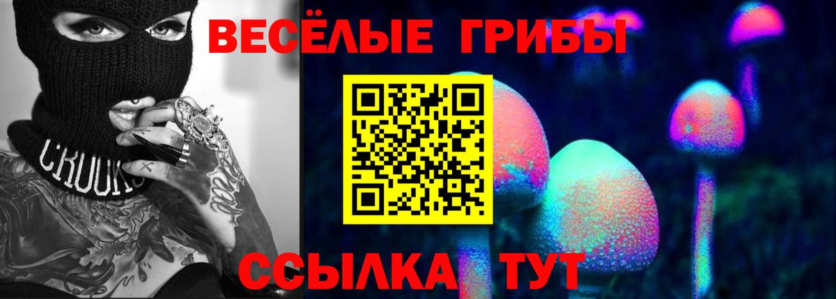 Псилоцибиновые грибы GOLDEN TEACHER Коломна